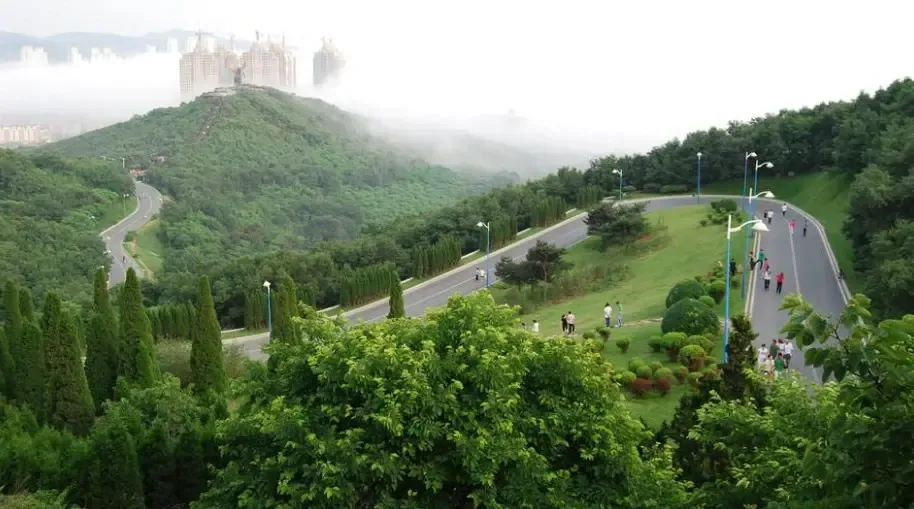 金普新区"七条通道"亮绿工程:对"七条通道"及炮台山公园,童牛岭公园等