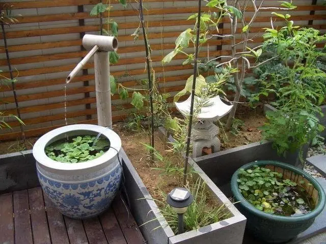 还记得老家院子的那口水缸吗家中院子最该摆放的就是它了