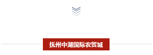 衡阳市政府代表团来抚考察中湖国际农贸城项目