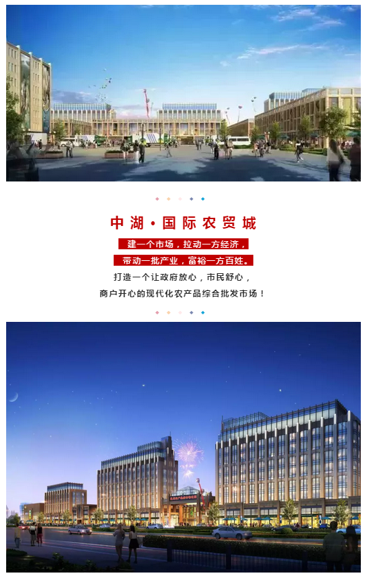 衡阳市政府代表团来抚考察中湖国际农贸城项目
