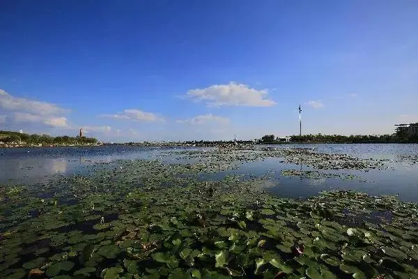 重磅，海阳又是！“海阳蓝”再度刷屏！