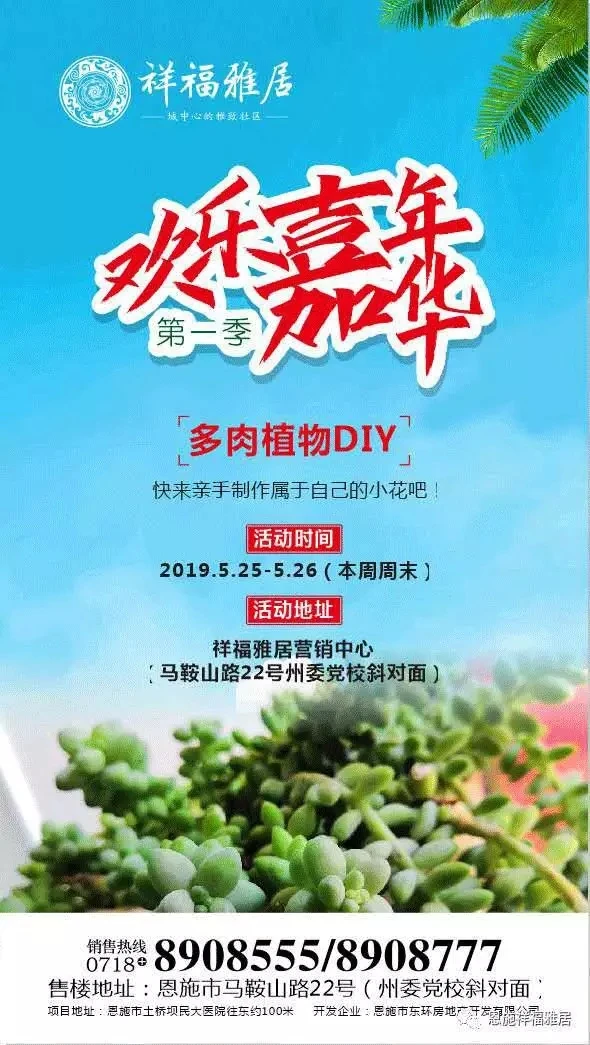 多肉植物DIY，明天这里的多肉免费让你带回家！