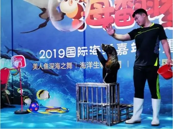 以欢乐传递美好生活，融创公园**海洋嘉年华完美落幕