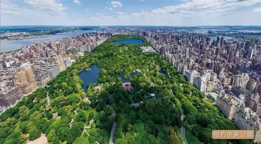 纽约中央公园实拍图