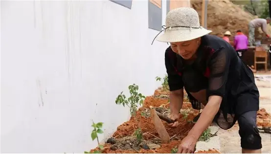 在弥渡最美的村庄靠最美的他们去“装扮”