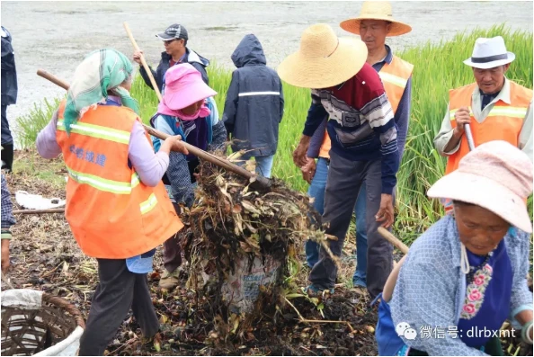 又是锄头、又是背箩......一大早，这群人聚集在洱海边干什么?