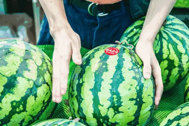 640_427gif 动态图 动图