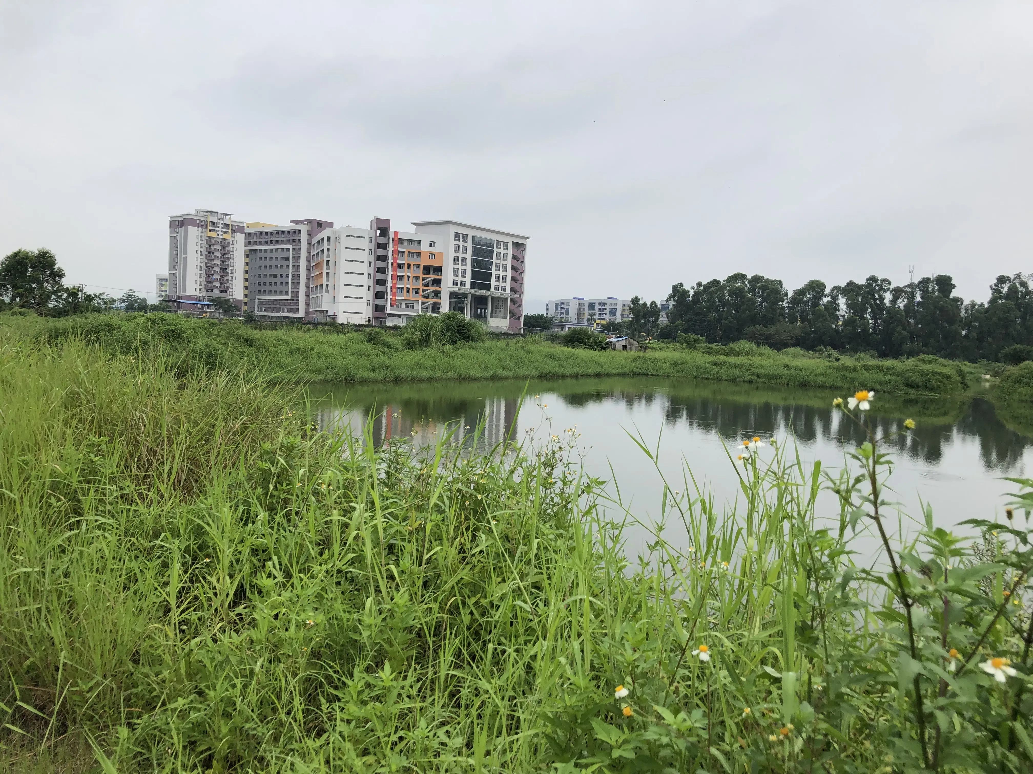 古劳水乡首宗商住地挂牌 竞买人须具有运营国家5A级景区经验！