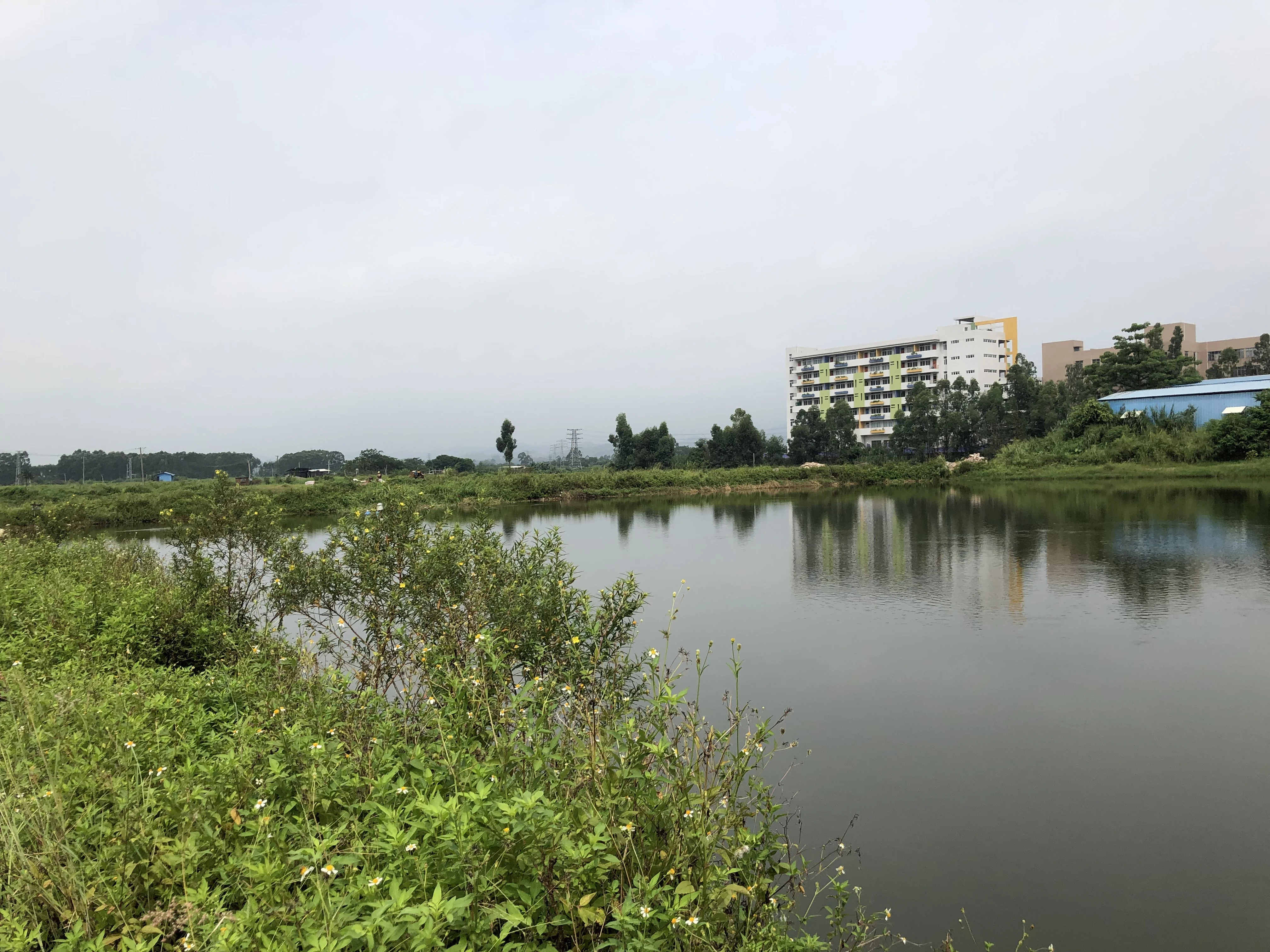 古劳水乡首宗商住地挂牌 竞买人须具有运营国家5A级景区经验！