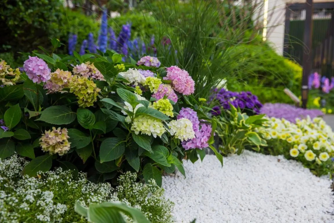 美的置业&花境大使邀您共度世博园花境之旅-沈阳新房网-房天下