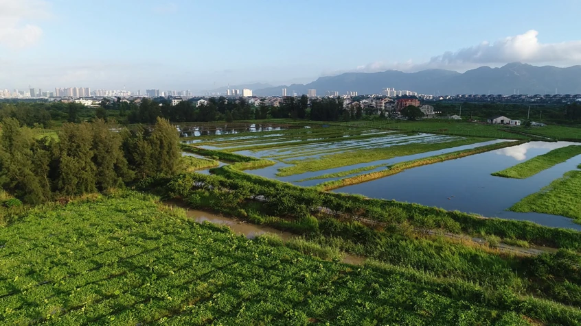 七都岛 一座高颜值的温州“都市大花园”