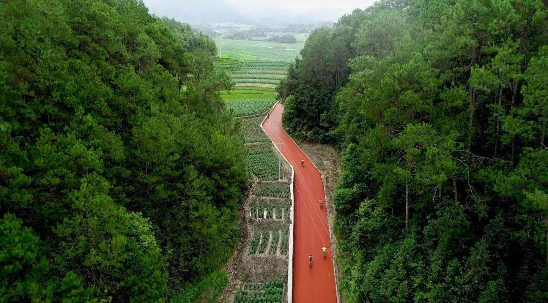 这场比赛将在“世界、中国首创、云南最美”的乡村花海马拉松专用赛道举行