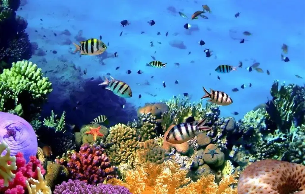 梦幻海洋畅游万达沭阳万达广场创意海洋瓶diy梦幻来袭