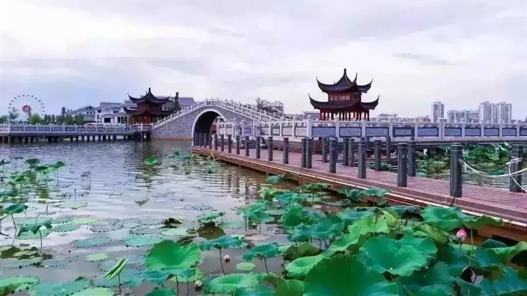 激情夏日 | 新力·帝泊湾缤纷水果节圆满落幕，嗨翻全城