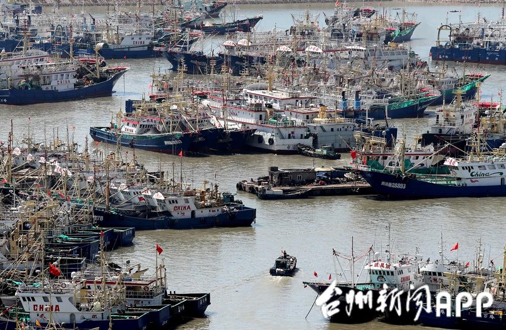 开渔啦！台州三千余艘渔船出海