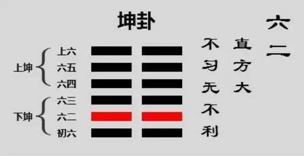 (1)谢咏谈,坤卦的卦象学说——谢咏老师提供参考,并祝大家财运事业