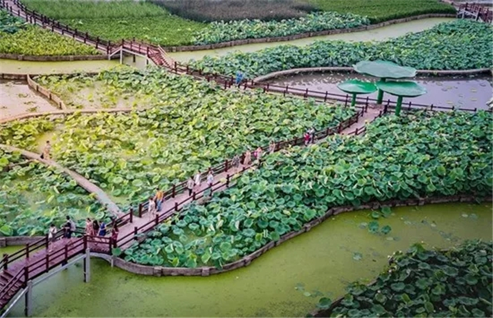 舌尖上的王江泾丨美食见证天然生态湿地宜居新象