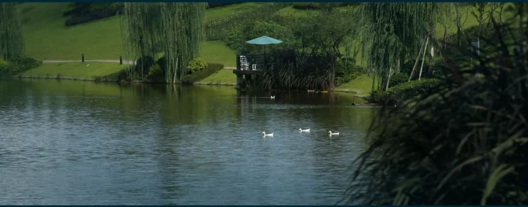 仁湖花园丨每一个角落，都可以是亮丽的风景