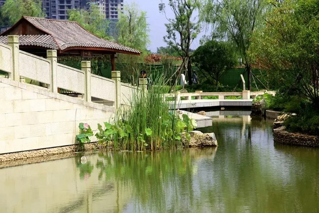 西湖春天公園 | 一步一景,目之所及皆美好,實景美圖先睹為快!