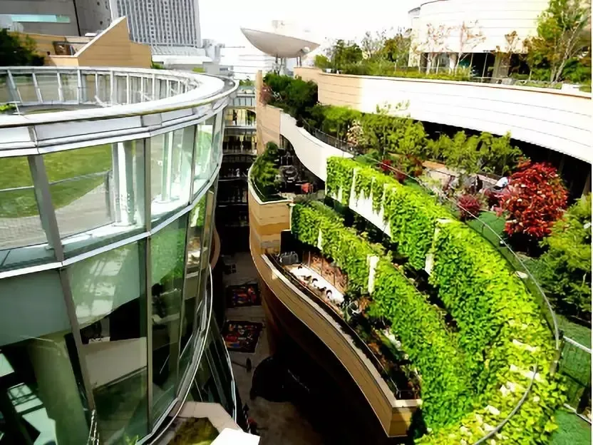 图片来源于网络 通往室外露台空中花园的小径,把人们引到了隐藏在丛林