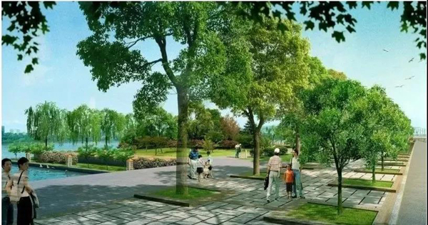 贵港市中心城区绿道建设规划公开了！将来要这样建...