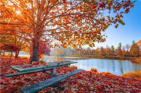 如意·蘭园丨揽湖而居 秋日墅语 | 在秋天的东湖畔，感受生活漫时光