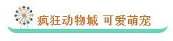 东安10.1开放威尼斯，上了今日头条？