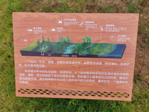 美大理下關洱海邊這個生態修復工程修成了個漂亮的海濱公園