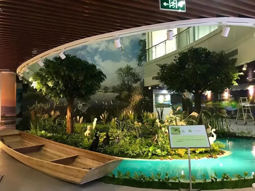 苍海湿地公园科普展示厅开厅了