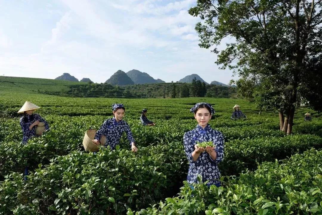 厉害！清远这个镇在省里又出名了