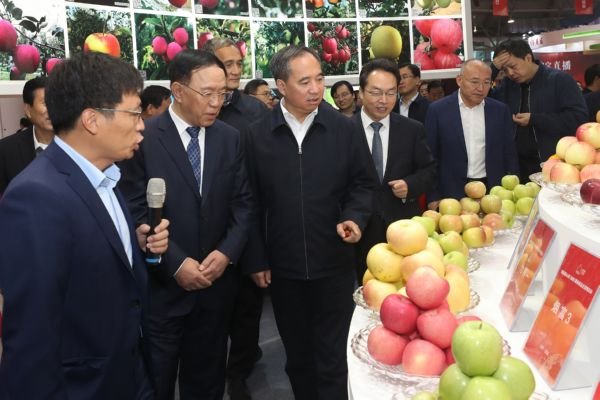 运城苹果握手世界第四届山西（运城）国际果品交易博览会盛大开幕