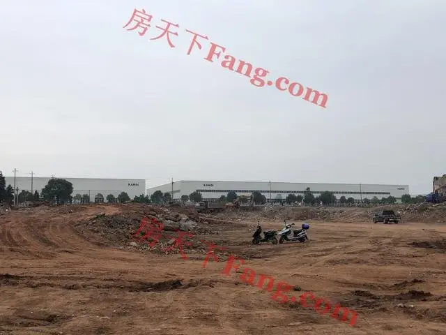 现场直击！了解金华新建中小学现状，可能你家孩子就在这些学校