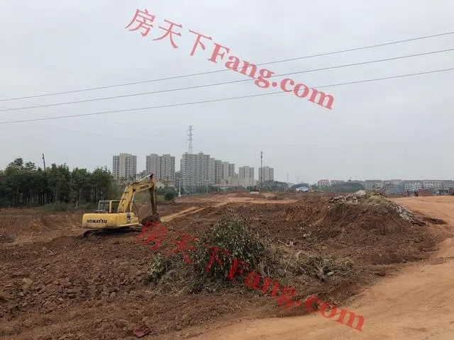 现场直击！了解金华新建中小学现状，可能你家孩子就在这些学校