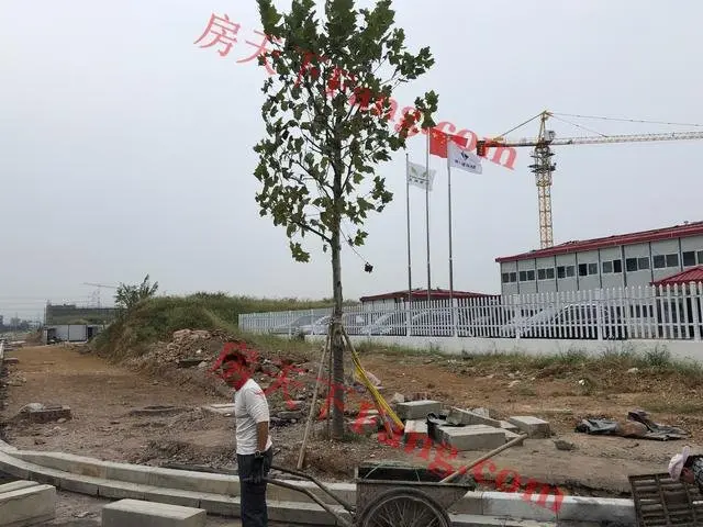 现场直击！了解金华新建中小学现状，可能你家孩子就在这些学校