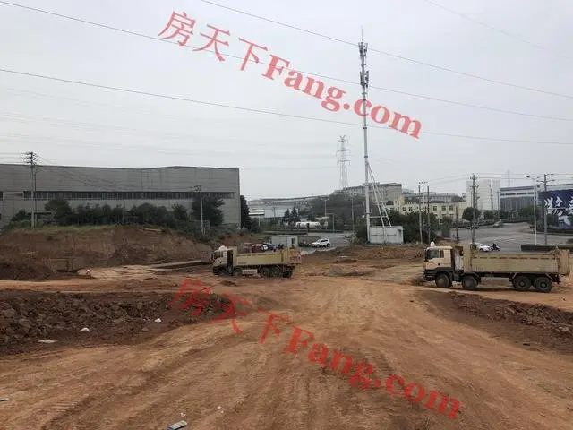 现场直击！了解金华新建中小学现状，可能你家孩子就在这些学校