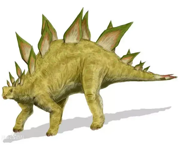 尾带四根尖刺背肩巨大骨质板巨大的草食性恐龙剑龙图片来源于网络杀伤