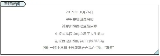 鹿鸣府诚意护照全城盛启，这样的户型你见过吗？