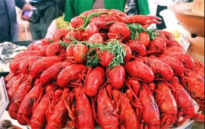 菏泽万达广场菏泽金街网红夜市开幕全场免费通吃