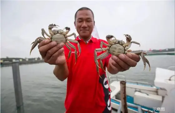 到访赢取华润业主专享蟹礼，苏州阳澄湖蟹厂专供