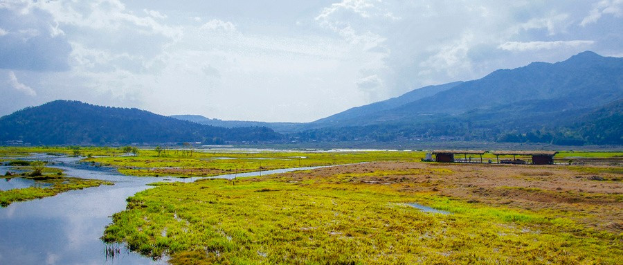 荆襄河湿地公园