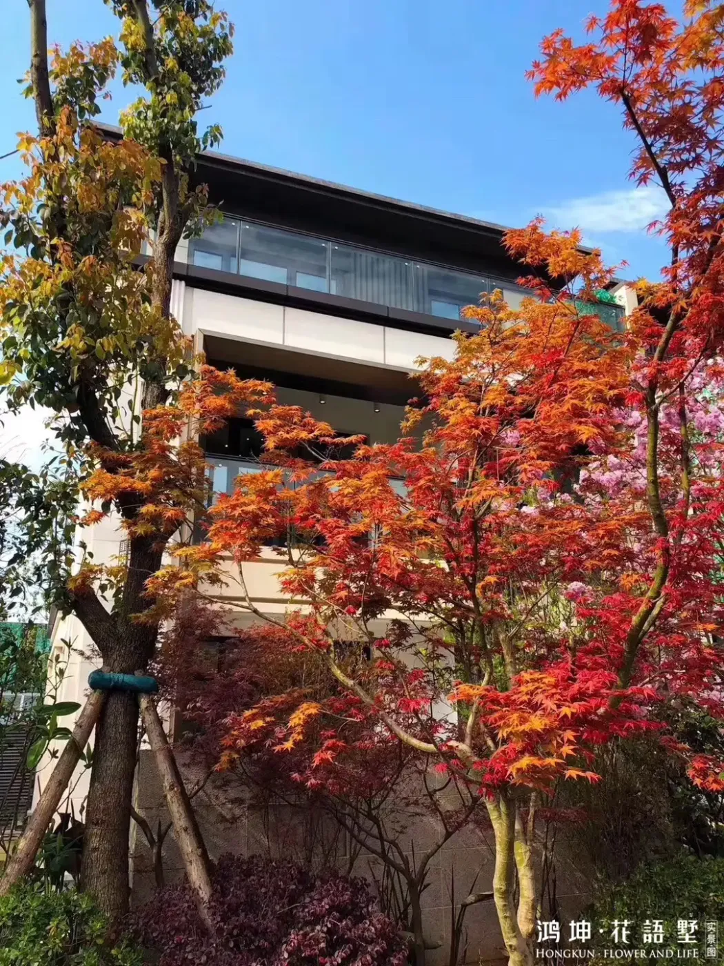 鸿坤·花语墅,绿化再升级!-宜昌新房网-房天下