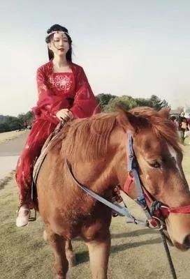 首届武林大会席卷衢城，来，带你一起骑马喝酒闯江湖！