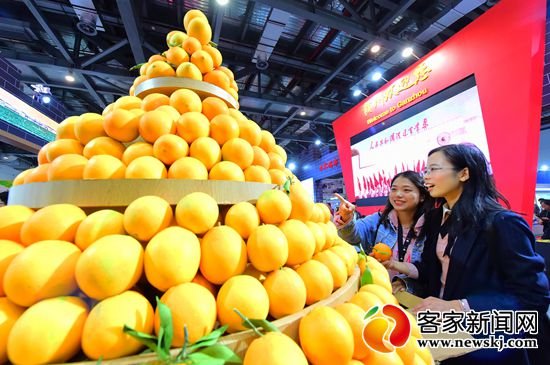 2019赣南脐橙网络博览会开幕时间调整为11月30日