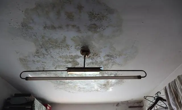 夏天时雨水多,外面下大雨屋内就下起了小雨,室内长年潮湿长绿毛.