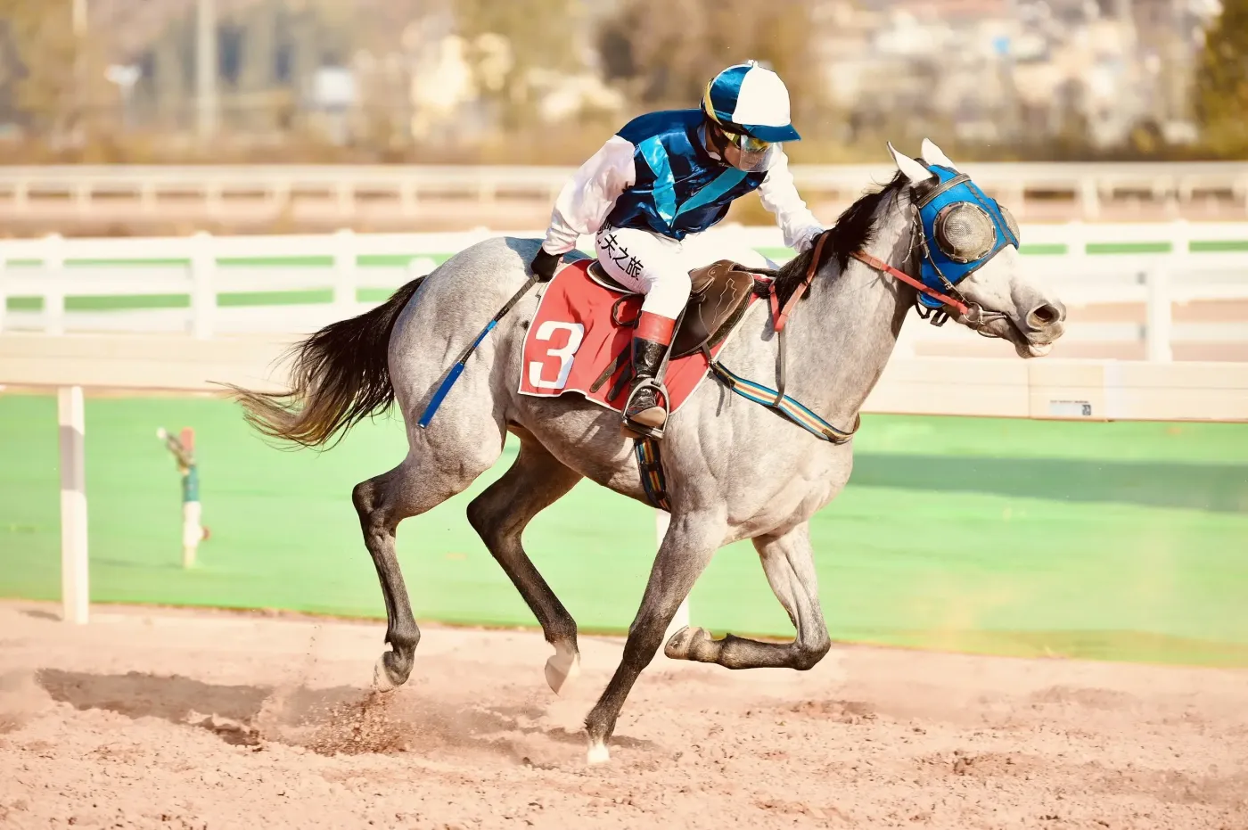 冲刺,牵马头,每一个环节都按照国际水准进行,让现场观众体验观赏赛马