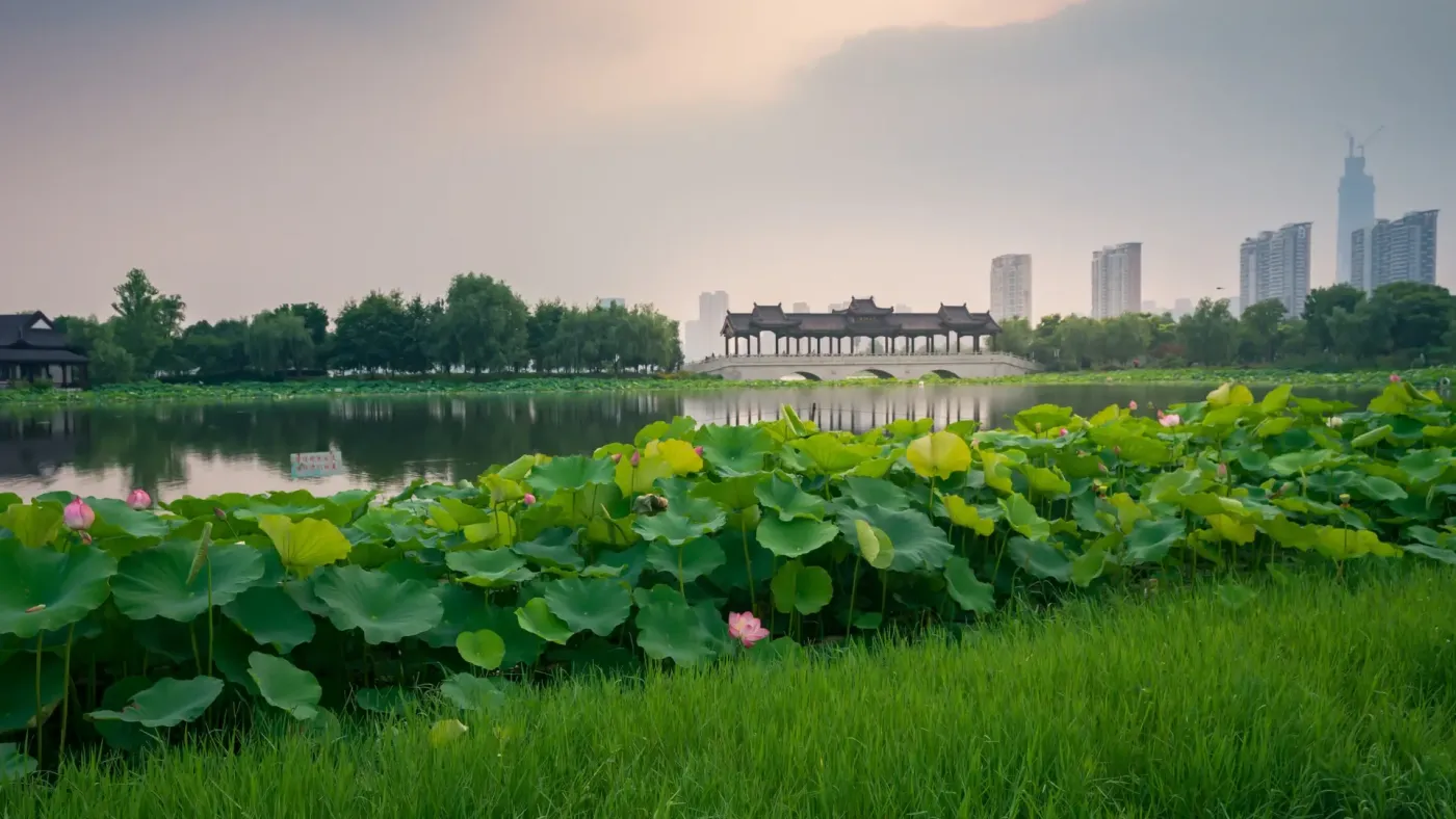 武汉市东西湖区哪里房子便宜在武汉买房需要注意什么