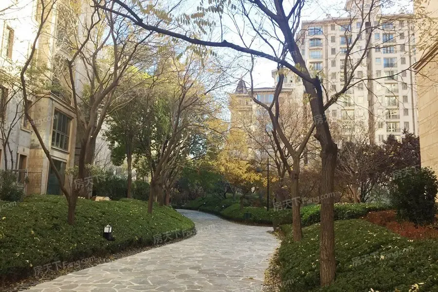 住在北京星河湾的明星星河湾怎么样