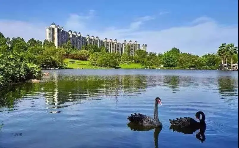 恒大滨河左岸 “圣诞狂欢趴 童趣嘉年华”等你来嗨