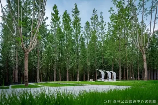 万科森林公园森林是回家的方向年终抄底正当时