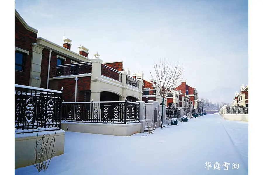 华庭雪韵庆余年 荣仕华庭雪后实景美上天！